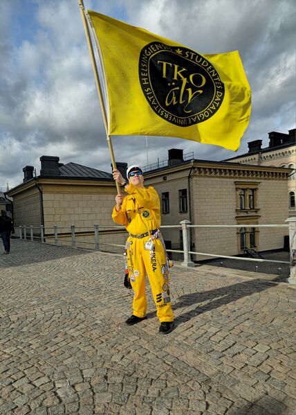 Tiedosto:Aapojalippu.jpg